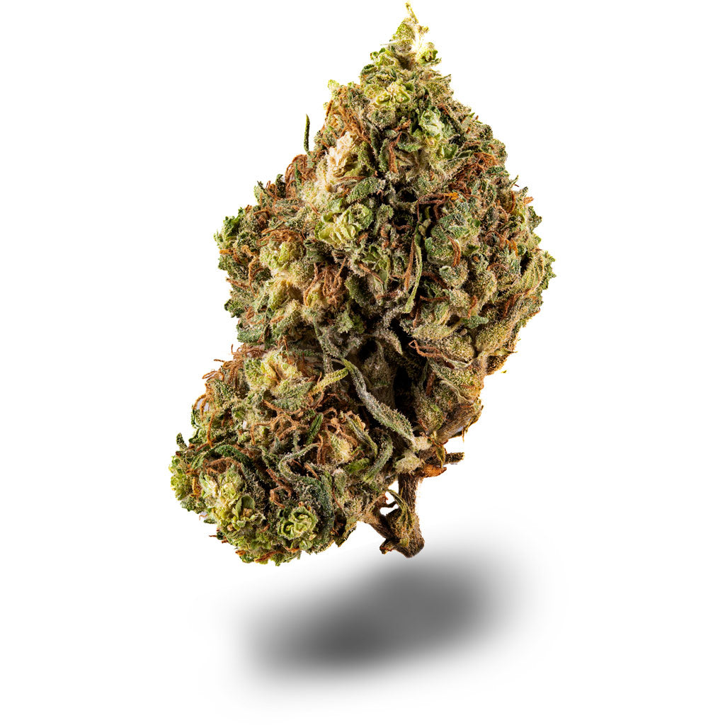 Blue Dream CBD Sorte