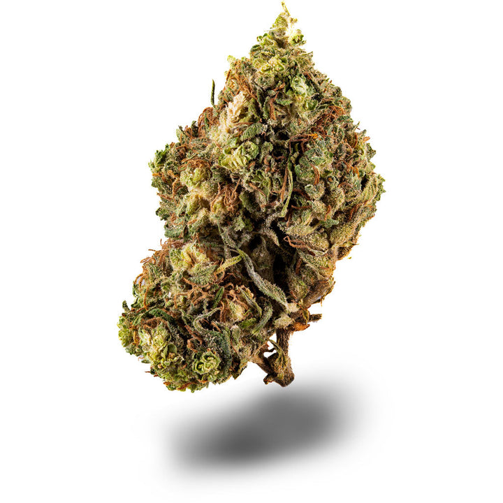 Blue Dream CBD Sorte