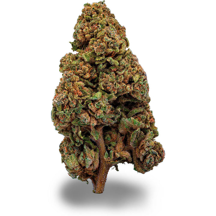 Gorilla Glue CBD Sorte