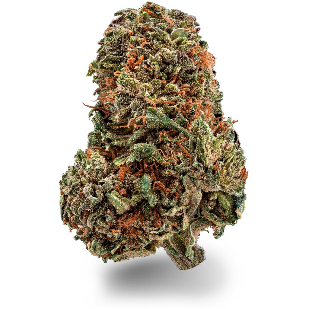 Purple Kush CBD Sorte