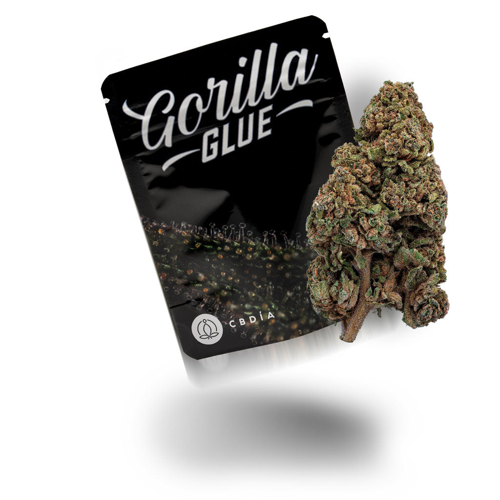 Gorilla Glue Blüten