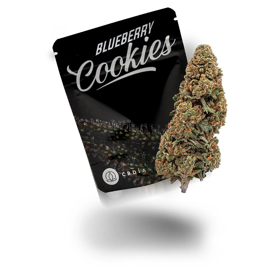 Blueberry Cookies CBD – Jetzt online kaufen ▷ cbdia.eu