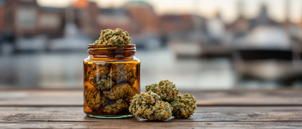CBD Blüten im Glas am Hafen – CBD Shops in Bremen
