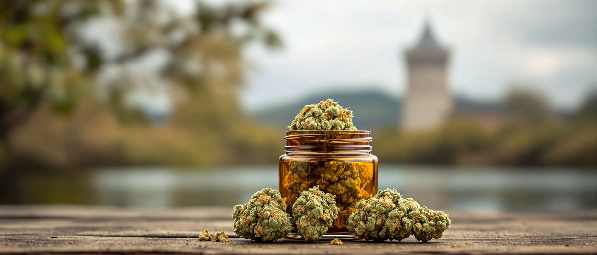 CBD Blüten im Glas an Flusslandschaft mit Turm – CBD Shop Sachsen-Anhalt