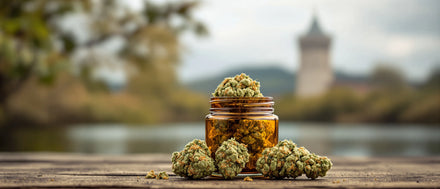 CBD Blüten im Glas an Flusslandschaft mit Turm – CBD Shop Sachsen-Anhalt