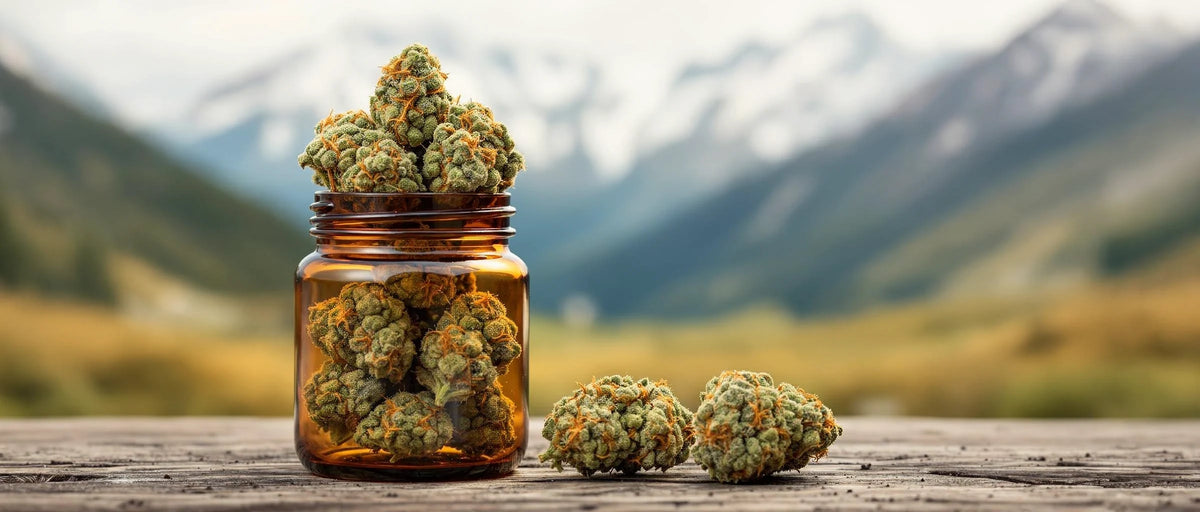 CBD Blüten im Glas vor Alpenpanorama, CBD Shops Bayern