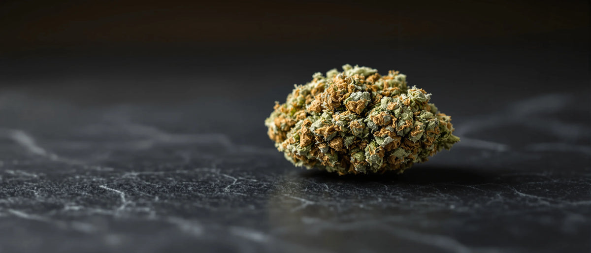 G13 Strain: kompakte Indica-Blüte mit hellgrünen Kelchen auf dunklem Marmor