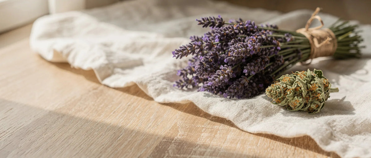 Lavendelstrauß mit Bastschnur neben einer getrockneten Hanfblüte auf Leinen