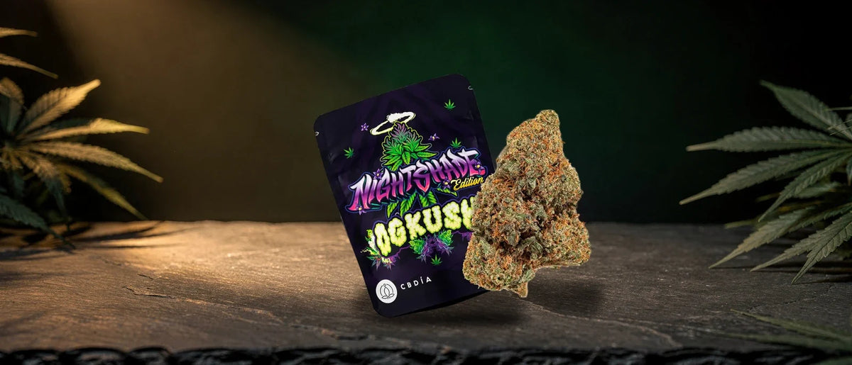 Beutel und harzige Blüte der Sorte OG Kush auf Schieferplatte im warmen Lichtkegel, OG Kush Strain