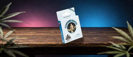 Packung Runtz Samen auf dunklem Holztisch zwischen Hanfblättern in pinkem und blauem Licht, Runtz Strain