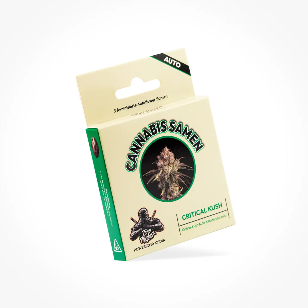 Eine Samen Verpackung der Sorte Critical Kush
