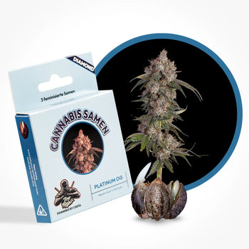 Eine Grafik zur Cannabis Sorte Platinum OG