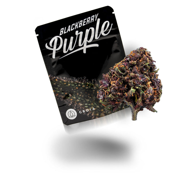 Blackberry Purple