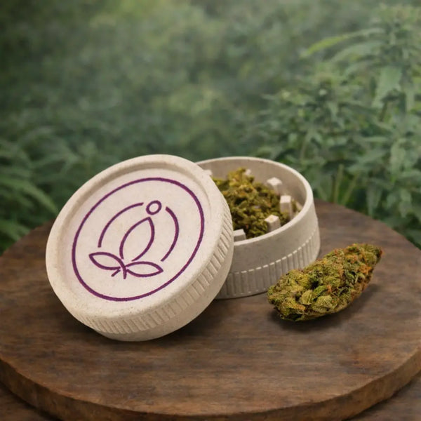 Holz Cannabis Grinder zum Zerkleinern von Kräutern und CBD Blüten