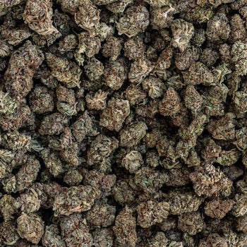 CBD am Black Friday kaufen