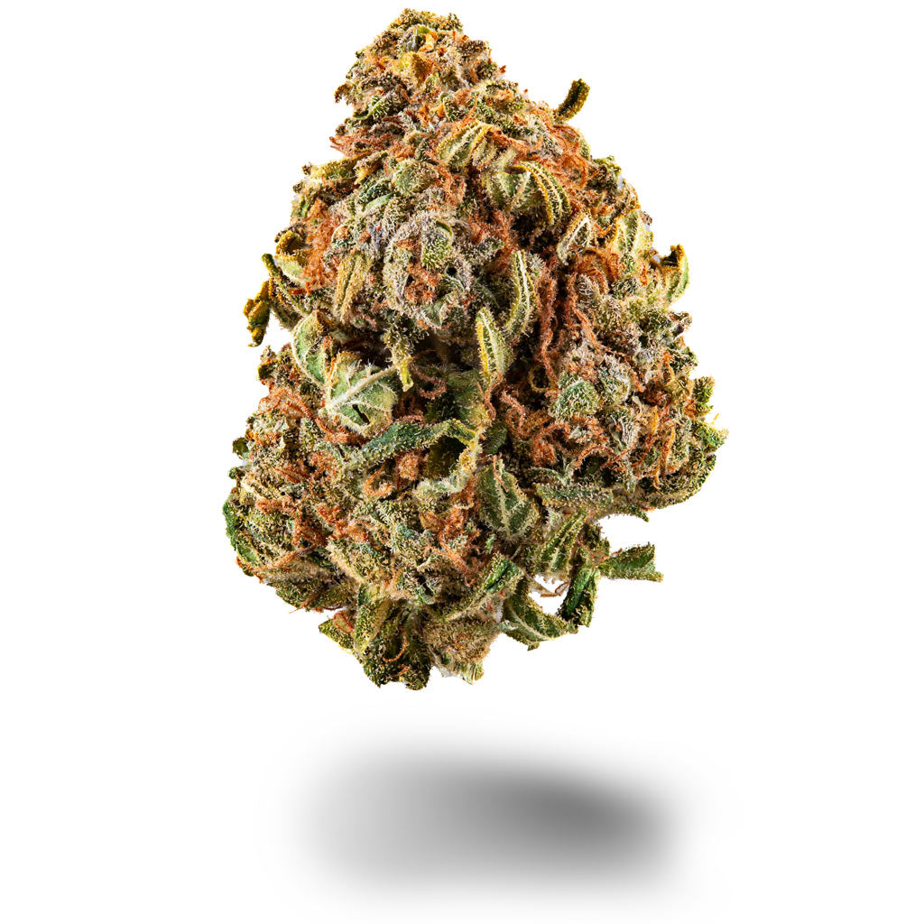 Lucky Dude CBD Sorte