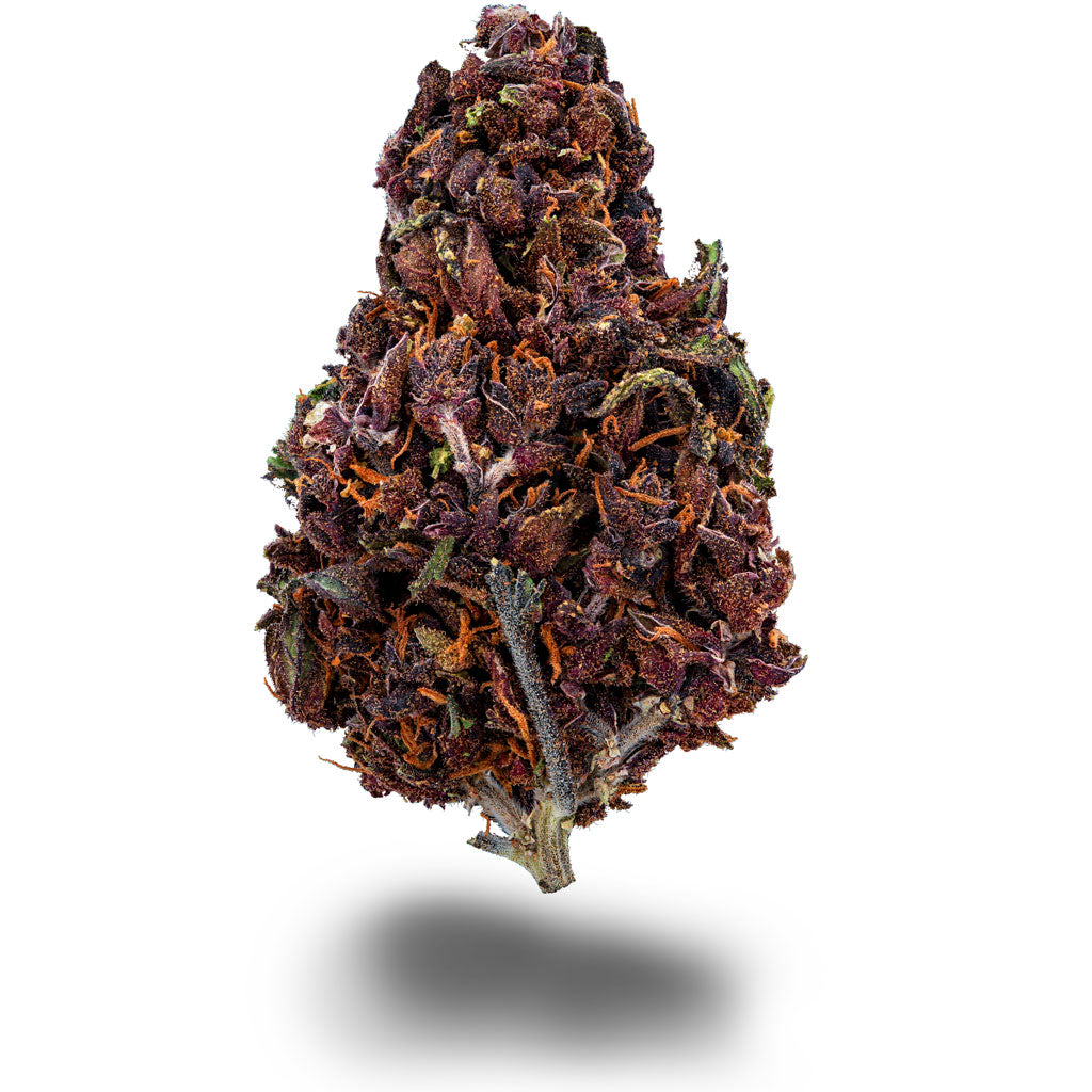 Purple Haze online kaufen Schon ab 3,40/g cbdia.eu Purple Haze online kaufen Schon ab 3,40/g cbdia.eu