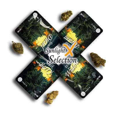 Sunlight X Selection Probierpaket