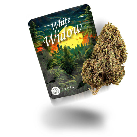 White Widow CBD Blüten